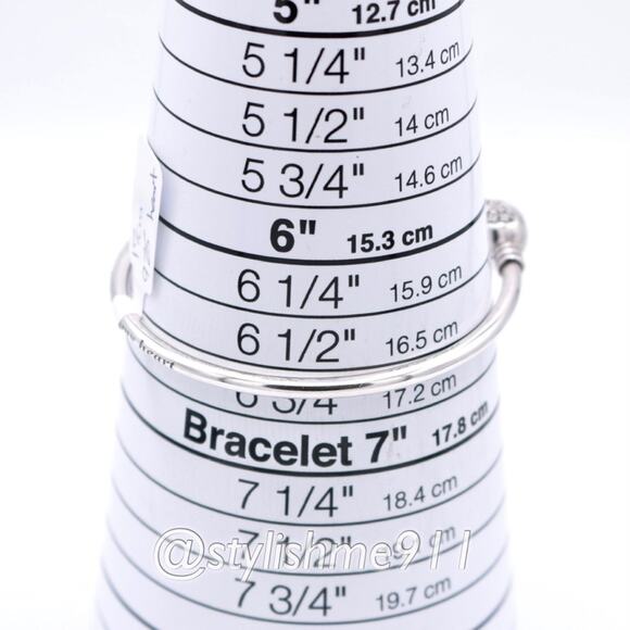 Authentic Pandora Moments Silver Bangle, Heart of Winter Clasp - 596404CZ - Picture 14 of 15